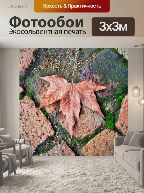 Фотообои платан лист