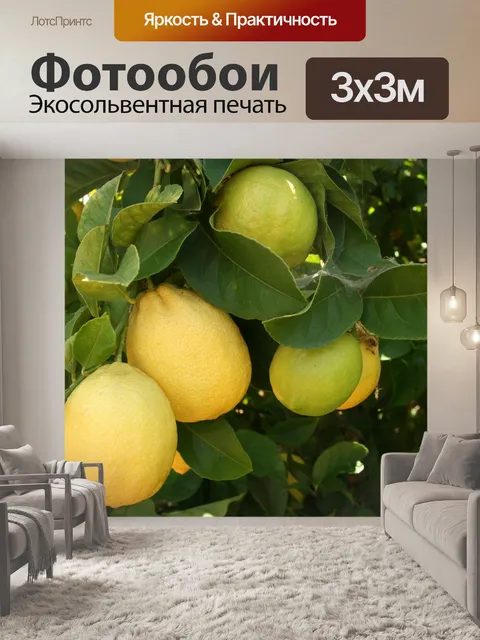 Фотообои Калифорния Лимоны