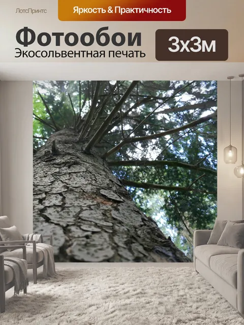 Фотообои Дерево