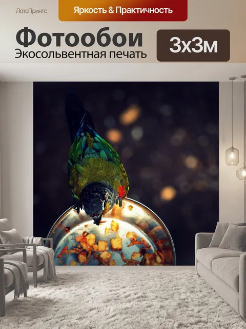 Фотообои Птица