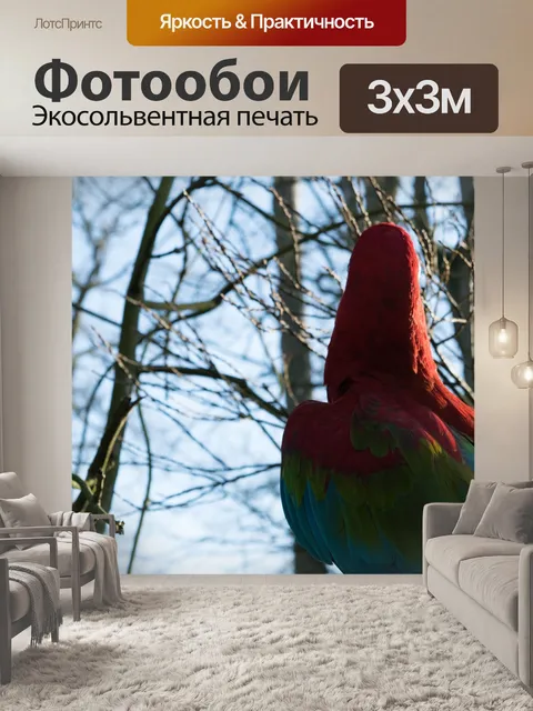 Фотообои Птица