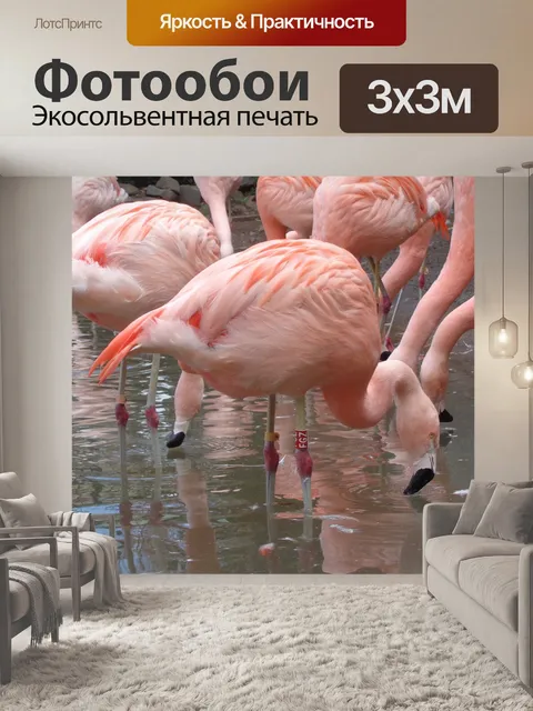 Фотообои Фламинго