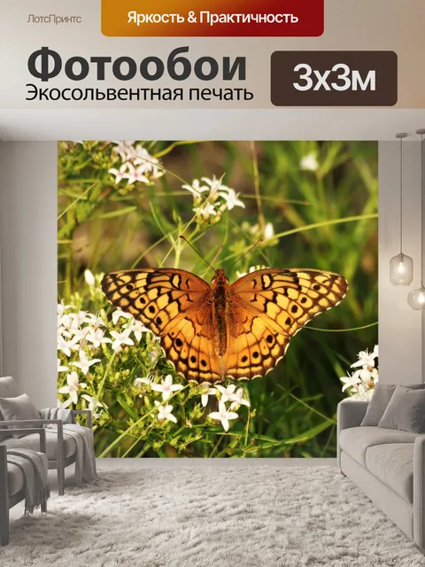 Фотообои Пестрая бабочка 8