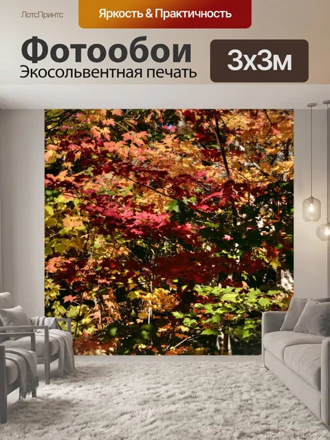 Фотообои Осенняя листва