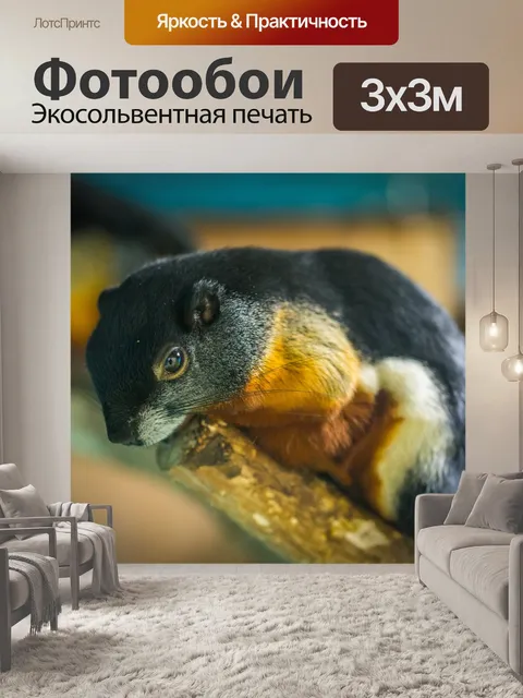 Фотообои Живая природа
