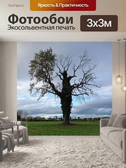 Фотообои Дерево