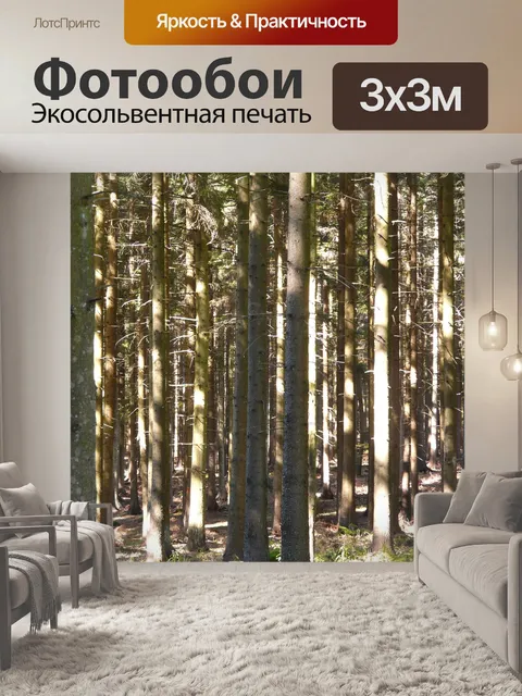 Фотообои Лес