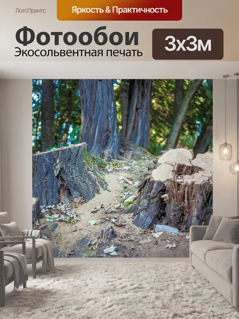 Фотообои Пень