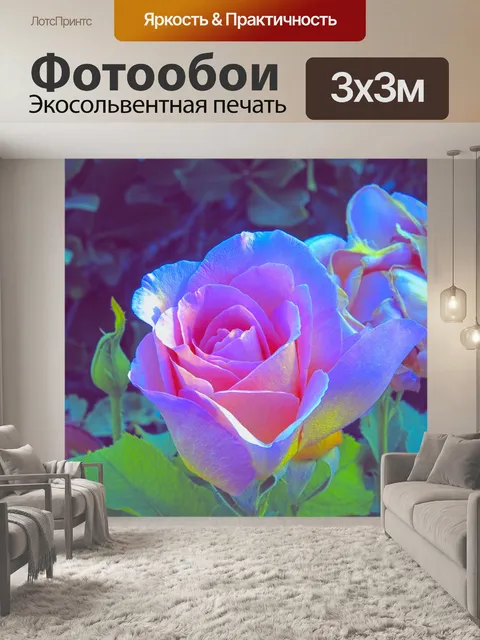 Фотообои Прозрачная розовая роза