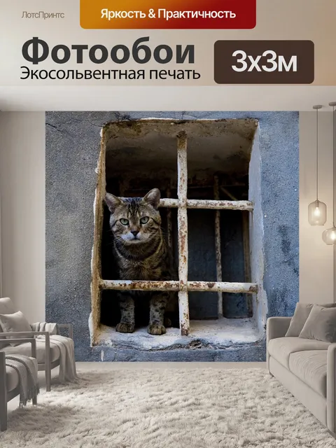 Фотообои Кошка