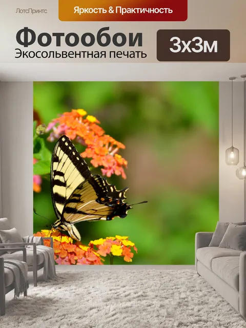Фотообои Тигр Махаон Бабочка