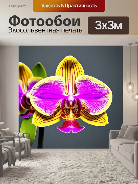 Фотообои орхидея с яркими градиентами, креативное искусство