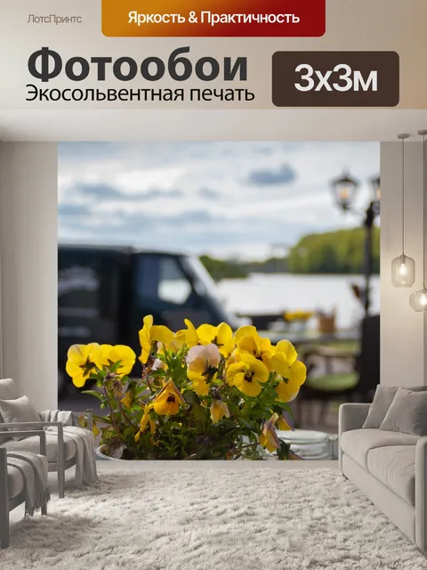 Фотообои Nok