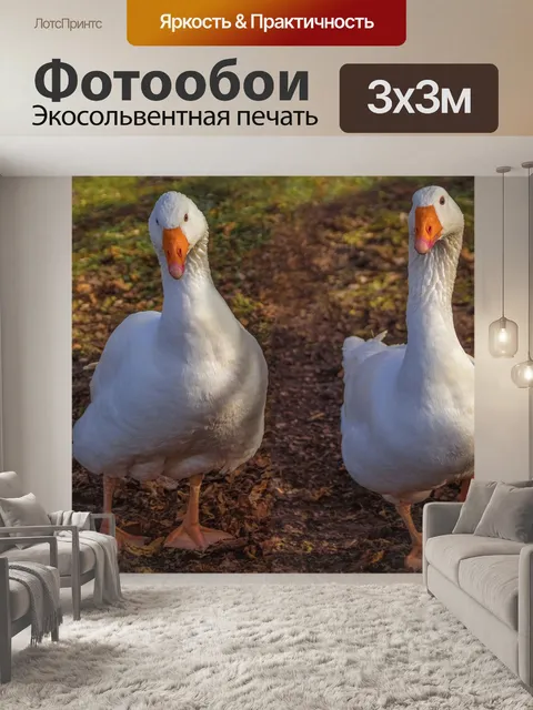 Фотообои Гуси