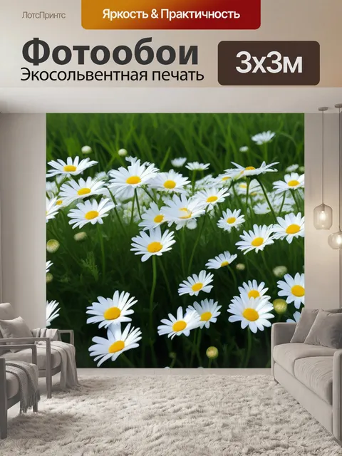 Фотообои поля с ромашками