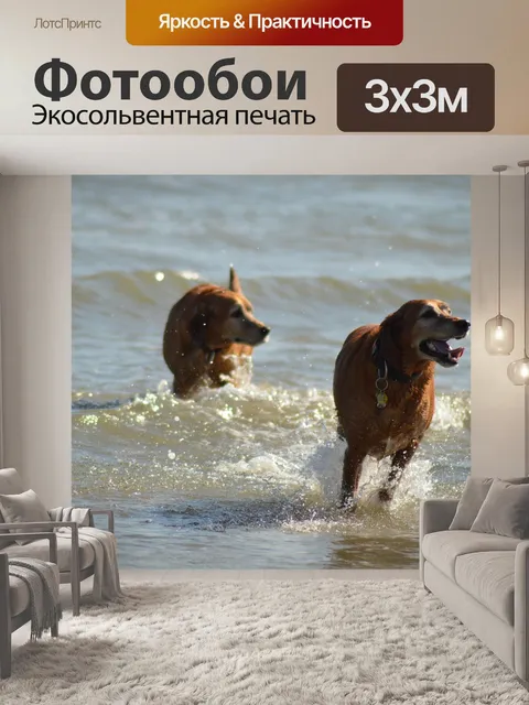 Фотообои Собаки