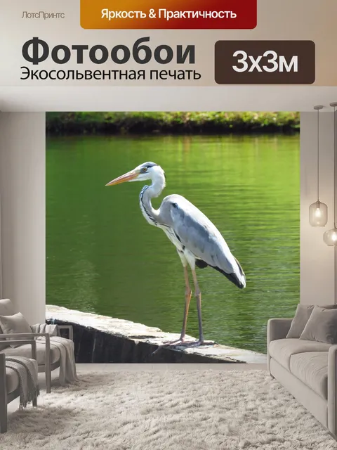 Фотообои Цапля