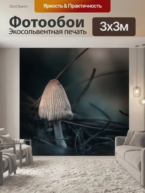 Фотообои Гриб