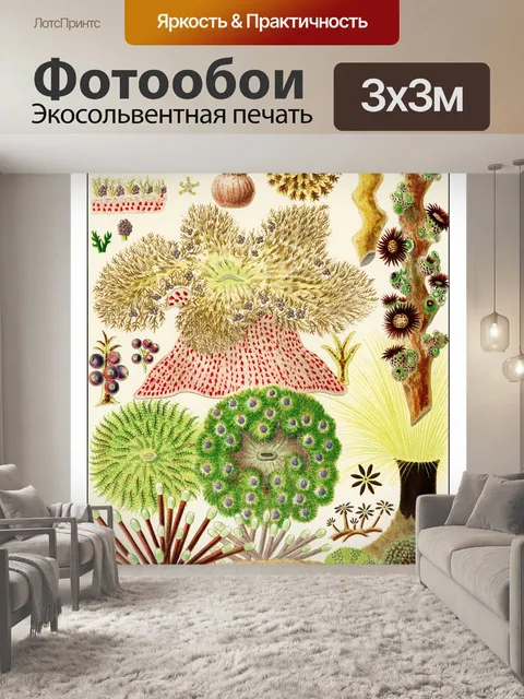 Фотообои Коралловый риф винтажный старый