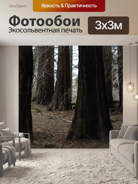 Фотообои Деревья