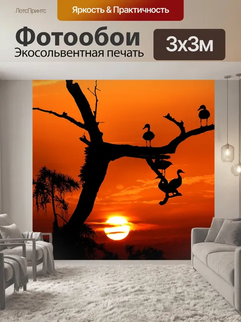 Фотообои Заход солнца
