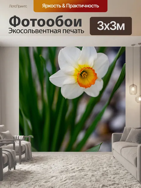 Фотообои Нарцисс