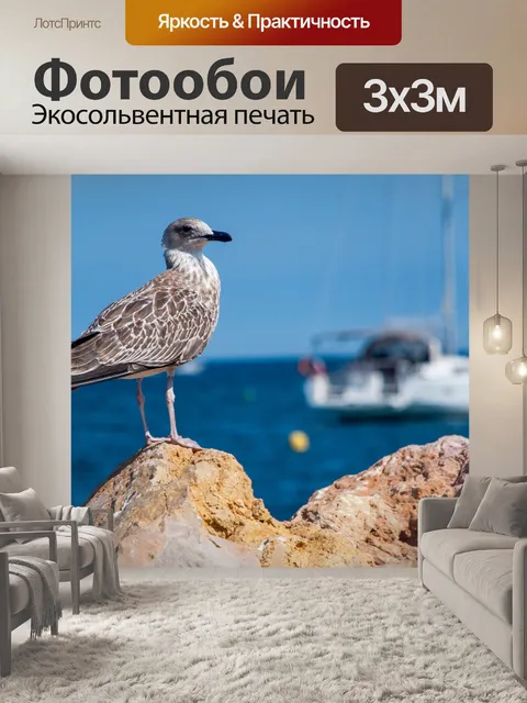 Фотообои Чайка, морская птица, море