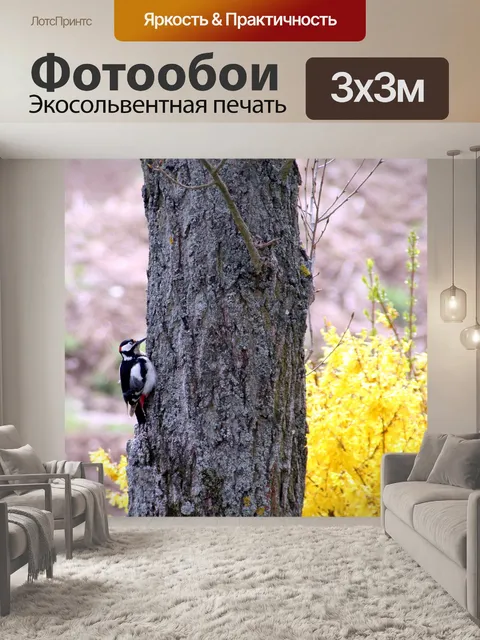 Фотообои Птица