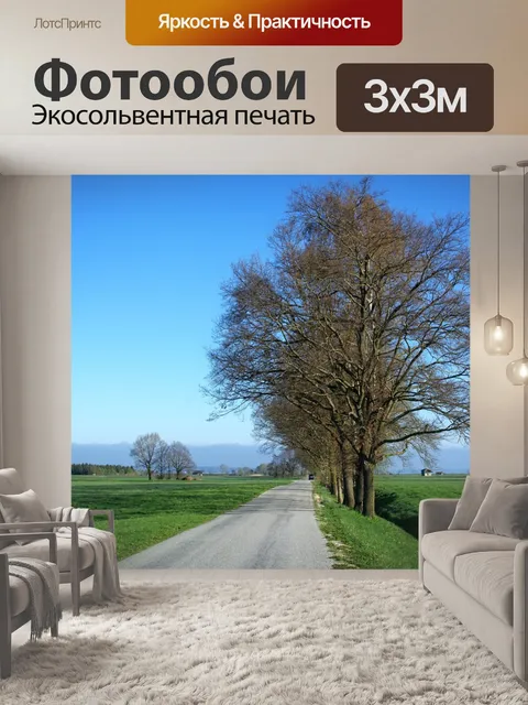 Фотообои Дорога
