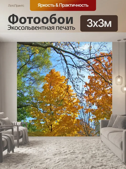Фотообои Осенние деревья