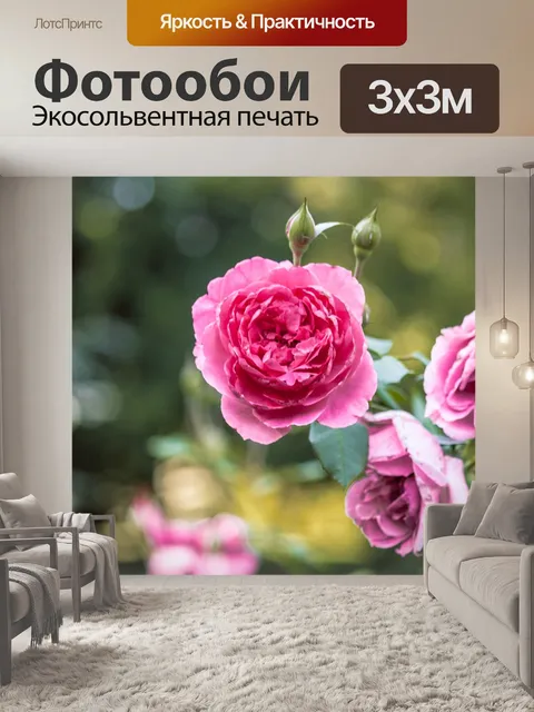 Фотообои Сад