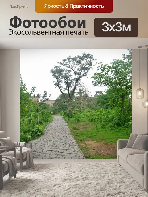 Фотообои лес 5