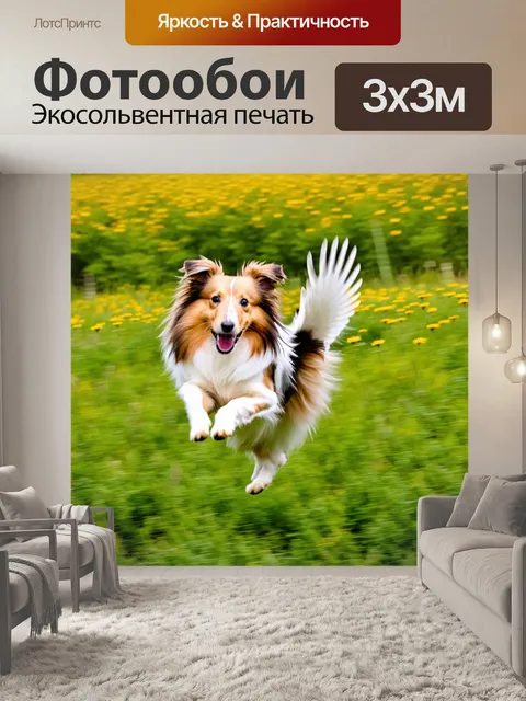 Фотообои шелти в полете через поле с цветами