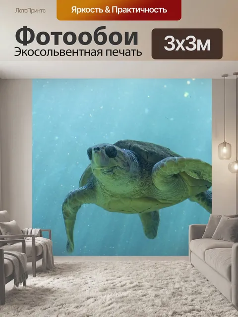 Фотообои Море