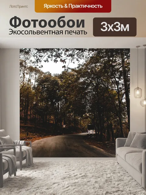 Фотообои Дорога