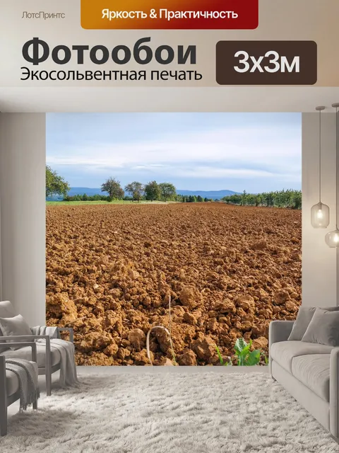 Фотообои Поля