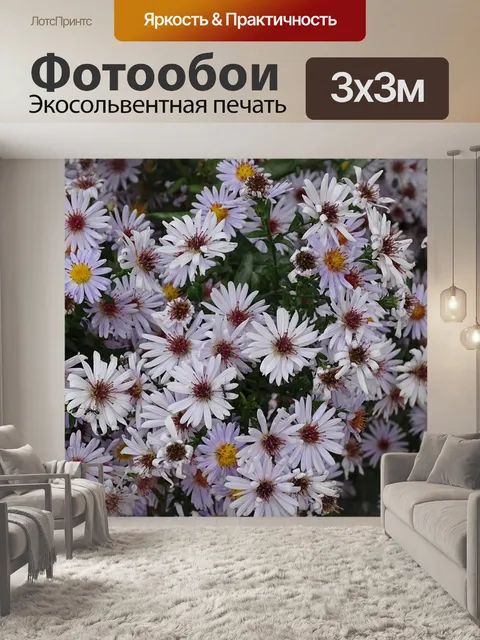 Фотообои Цветы