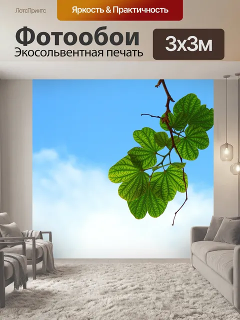 Фотообои Листья