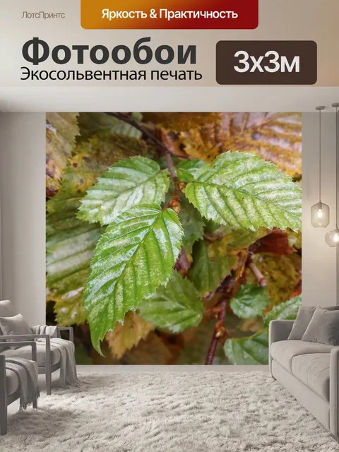 Фотообои Листья