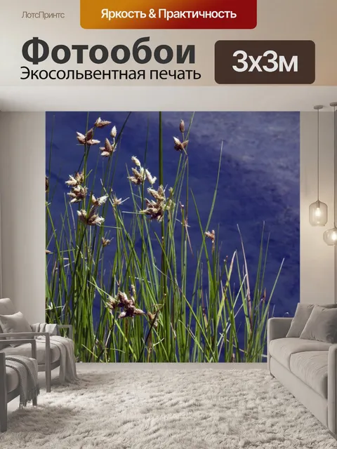 Фотообои растения у озера