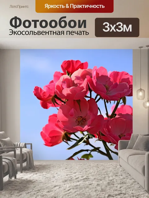 Фотообои Цветы