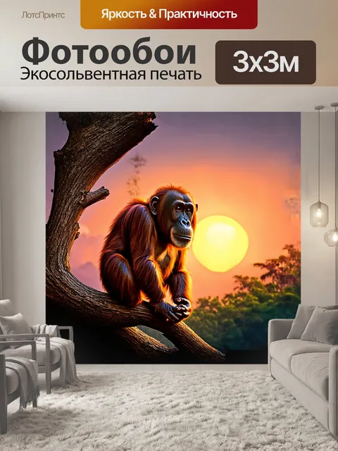 Фотообои орангутанг, расположившийся на высокой ветке с закатом на горизонте, смотрит вдаль, словно созерцая…