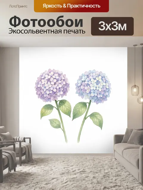 Фотообои Две цветущие гортензии