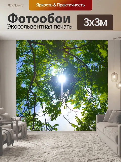 Фотообои Солнце через листья деревьев