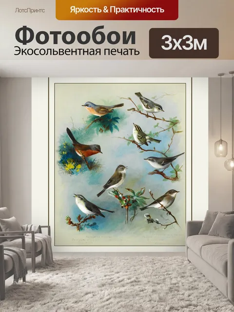 Фотообои Винтажный Художественный Принт Птицы