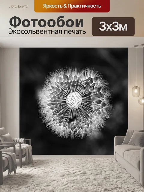 Фотообои Одуванчик