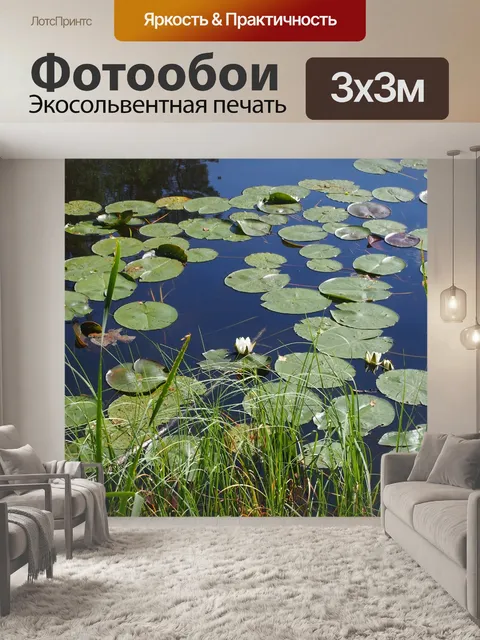 Фотообои Лотос