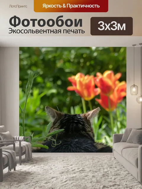 Фотообои Отдых