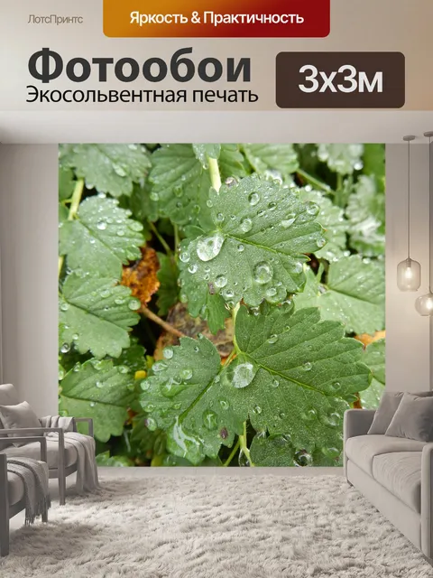 Фотообои Вода