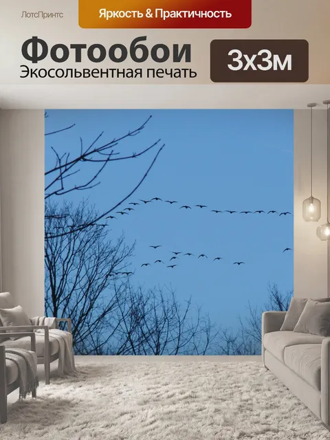 Фотообои Гуси